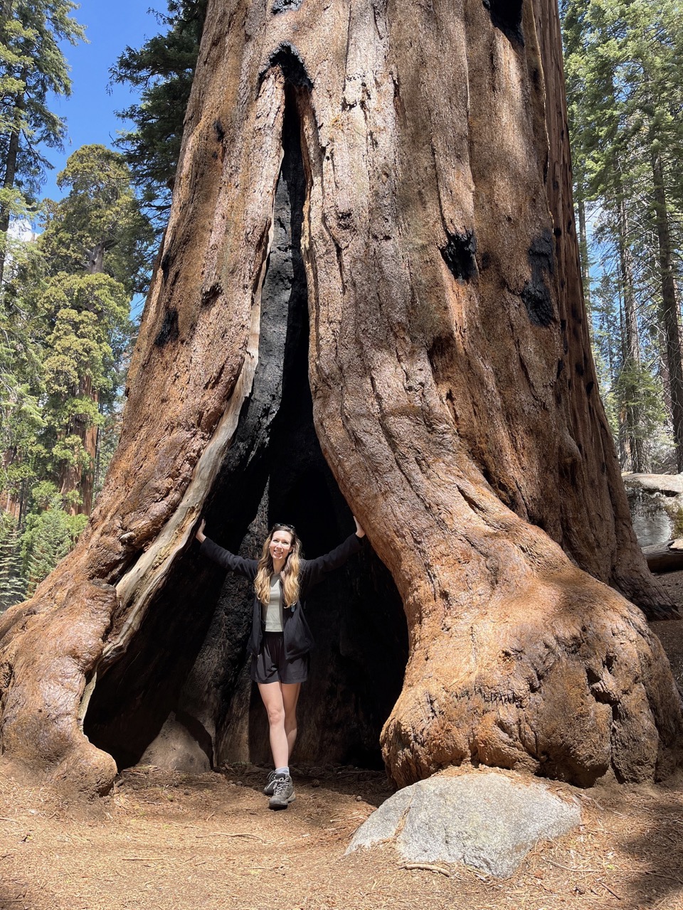 Jeanine Davis, founder of Tamarack Travel Design, standing at the base of a giant sequoia tree.